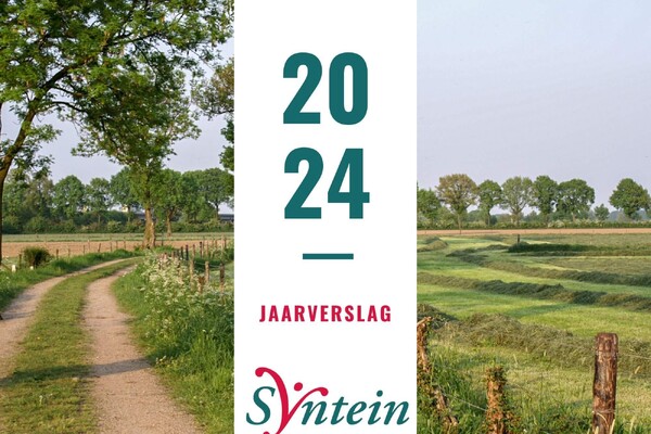 Syntein Jaarverslag 2024 verschenen