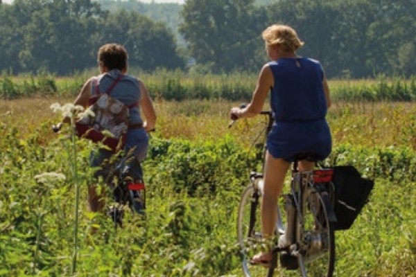 Jaarverslag Syntein 2017