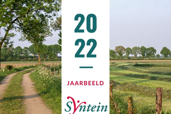 Jaarbeeld Syntein 2022